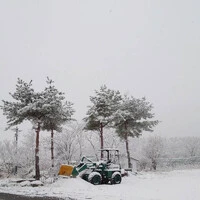 画像295