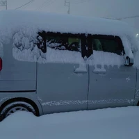 画像338